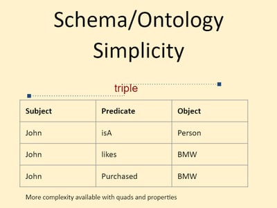 schema/ ontology simplicity